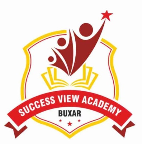 SUCCESS VIEW ACADEMY