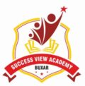 Success View Academy