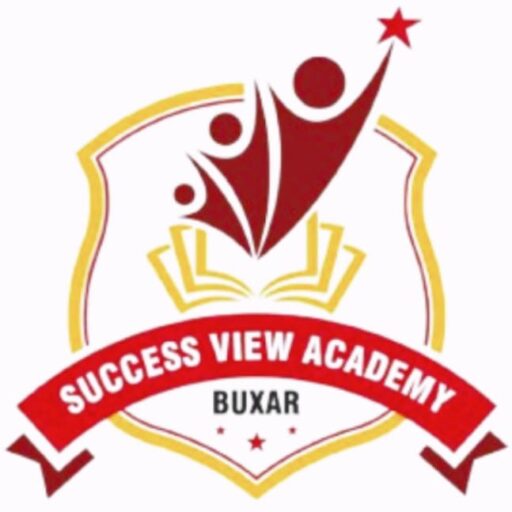 Success View Academy
